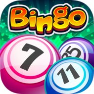 Bingo (MOD Energy/Keys)