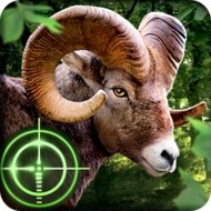 Wild Hunter 3D (MOD much money)